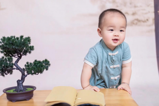 试管代怀生子合法吗宝宝几个月可以吃米饭
